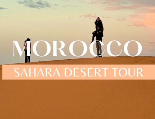 2024 Complete Guide to Sahara Desert Tours in Morocco